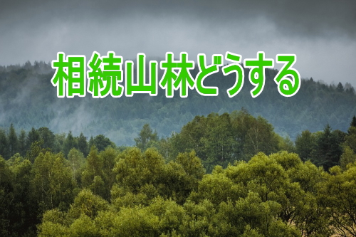 相続山林の問題